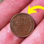 Lincoln Wheat Penny