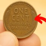 Lincon Penny Worth 112 Million