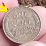 Lincon White Penny 10 Million