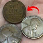 Lincoln Wheat Penny